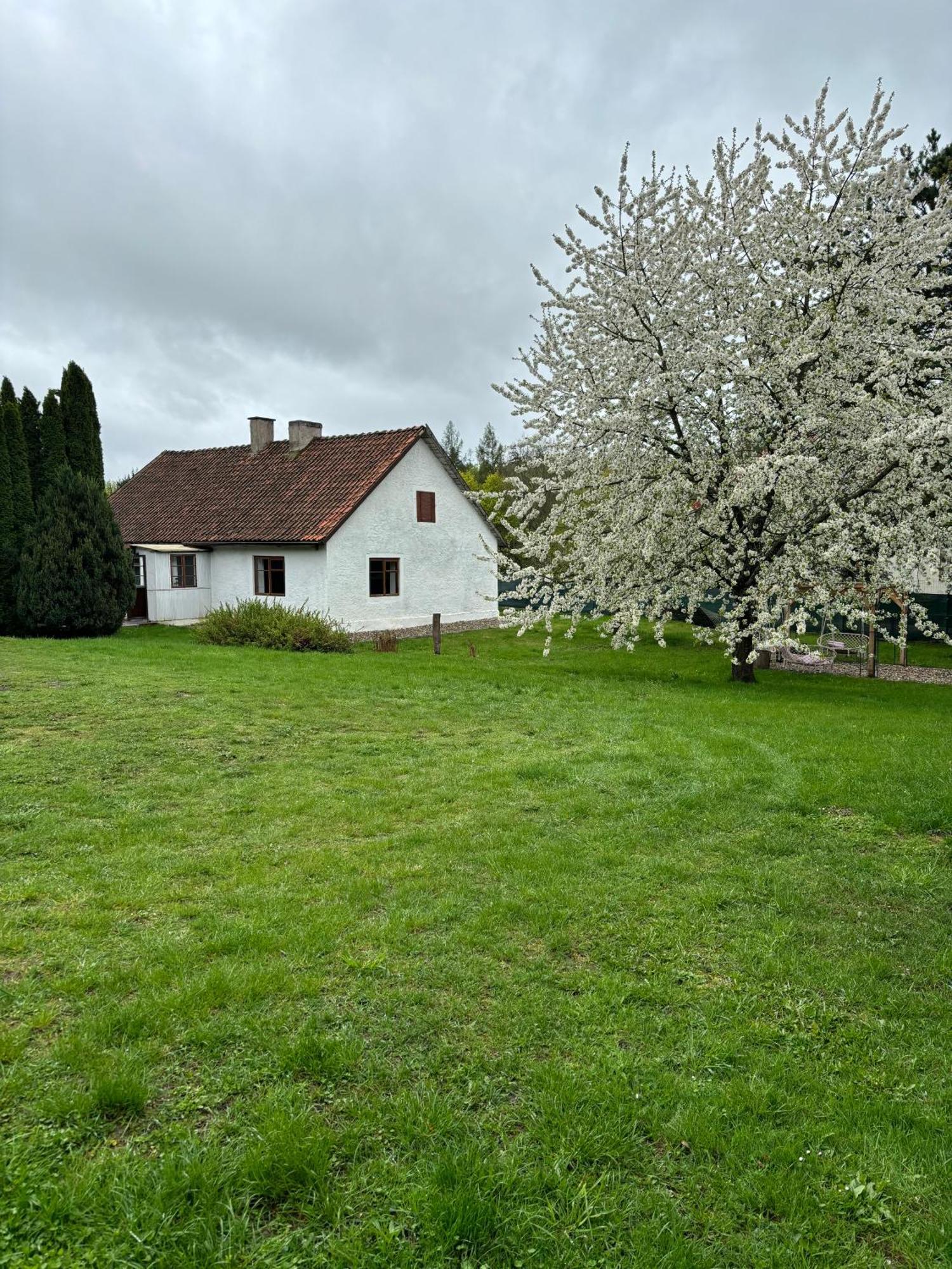 Spokojny Zakatek Lodge *